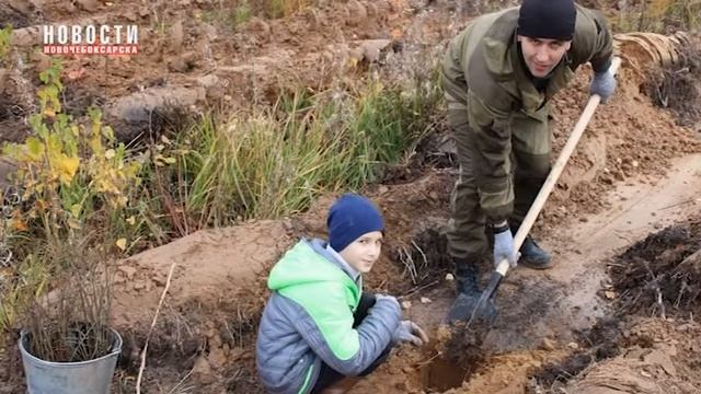 В Заволжском лесу посадили 10 тысяч деревьев по инициативе Совета отцов Чувашии