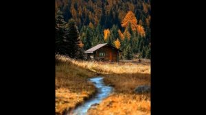 Самые красивые дома в лесу