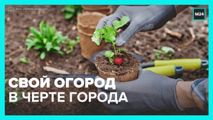 В Парке Горького вновь запустили проект «Общественный огород» — Москва24
