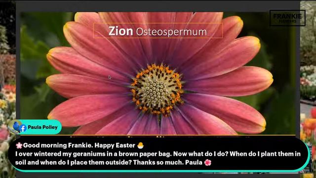 Live Gardening Q&A with Frankie Flowers / Canada's Garden Expert