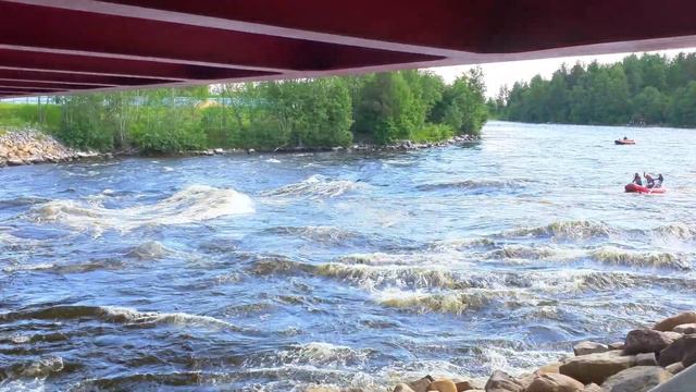 Река Вуокса июнь 2022 Лосево. Оживленное движение. смотреть онлайн
