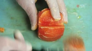 Салат из гребешков