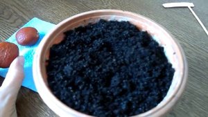 Посадка цикаса