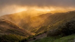 гр. ГороД - Выживший - Акустика - др. звучание https://www.facebook.com/groups/gr.gorod