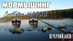 Мормышинг на микроприманки Sport Fishing MAGGOT. Вечерний клёв.