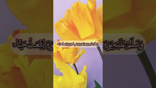 Surah Maryam Short By Qari Arif Haqqi SB Indian #islamic #quran #shortvideo #quotes  #indian