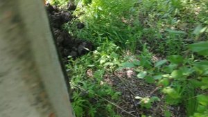 Бурение трактором под столбы для забора