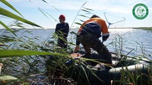 КАРП НА ОЗЕРЕ АБАЙ НА ДОНКИ И ПОПЛАВОЧКУ С ЛОДКИ, РЫБАЛКА В КАМЫШАХ  И НА ЧИСТОМ! ЛОВИМ В КАЗАХСТАНЕ