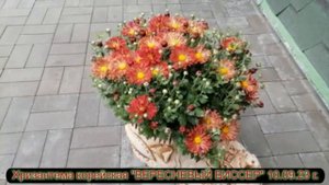 №72 Хризантема корейская ВЕРЕСНЕВЫЙ БИСЕР 10.09.23 г.