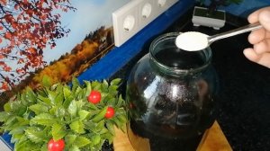 Как приготовить ЗАКВАСКУ для кваса, самый простой способ!