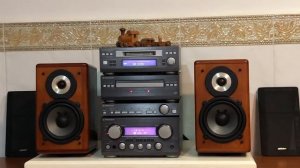 Victor Bookshelf  Hi-Fi Audio Design Speaker System  SX-EX7S (14 July 2021)