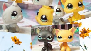 Lps клип: НАВЕЧНО ТВОЯ