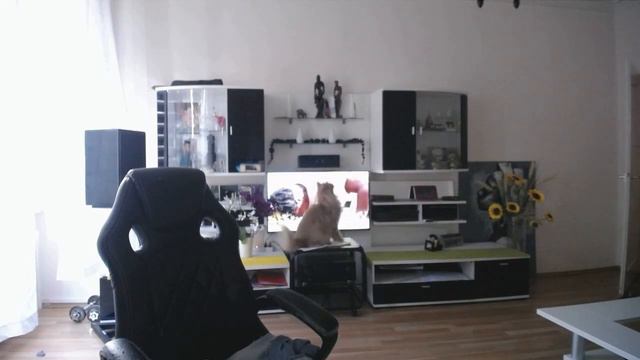 Прыжок Мейнкун Макс 07 10 2020 смотреть онлайн