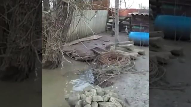 КАК ПОЙМАТЬ УТКУ. ДЕРЕВЕНСКИЙ КВЕСТ. смотреть онлайн