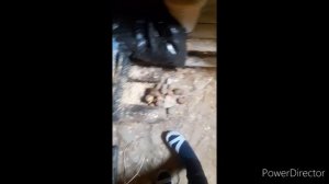 рано утром//готовлю борщ//подвал// пеку булочки//вышиваю//(1 год назад)