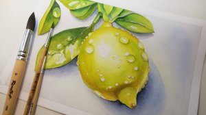 🍋Лимон АКВАРЕЛЬЮ // Lemon WATERCOLOR🍋