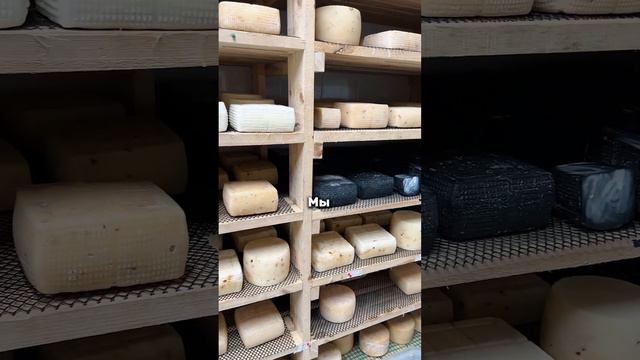 Что такое сыр? Для нас- это не просто продукт ❤️ #сыр #фермерскийсыр #натурпродукт #гастрономия смотреть онлайн