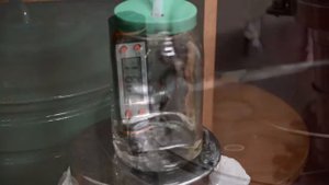 Из кукурузной муки . Часть вторая .