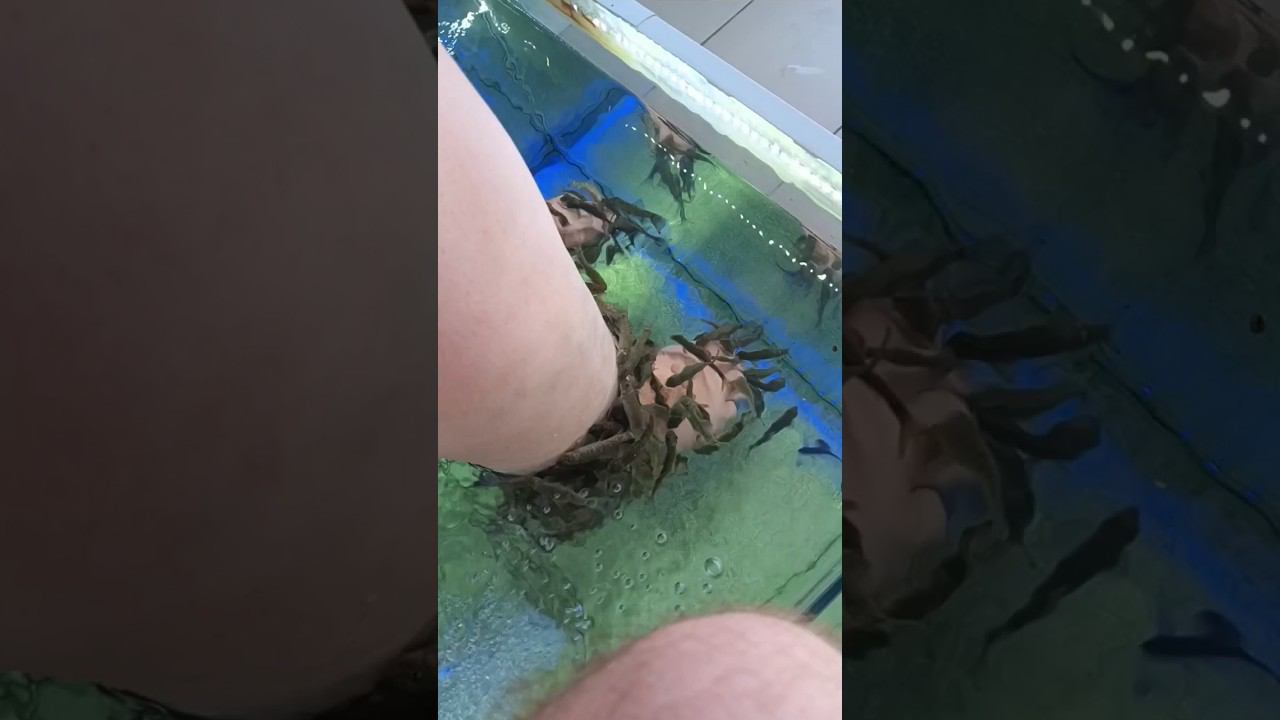ХУБА-БУБА
