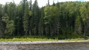 Сплав по Мане