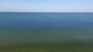 Marco Island, Florida by Drone