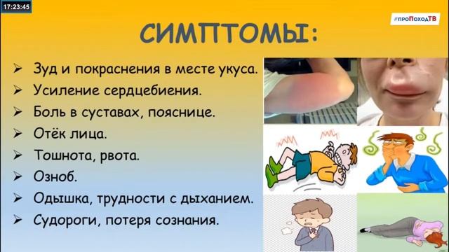 ЧТО ДЕЛАТЬ ПРИ УКУСАХ смотреть онлайн