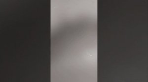 Как почистить живого карпа за 2 минуты