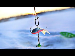 На это клюнет даже ленивая и единственная в водоеме щука зимой!Как ловить на балансир щуку зимой?