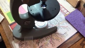 Опыт с микроскопом. Кровь человека vs Кровь лягушки/ Experiences microscope