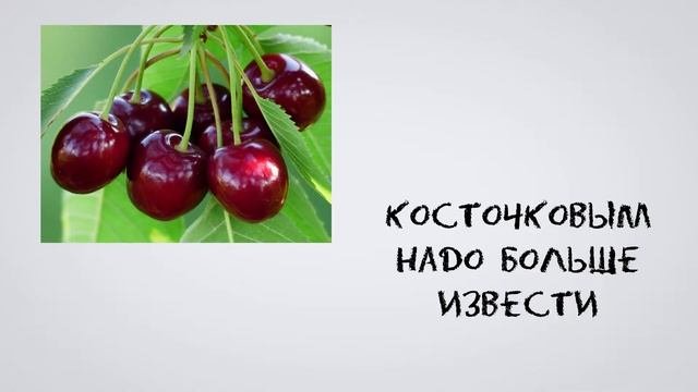 Все о торфе: Часто задаваемые вопросы