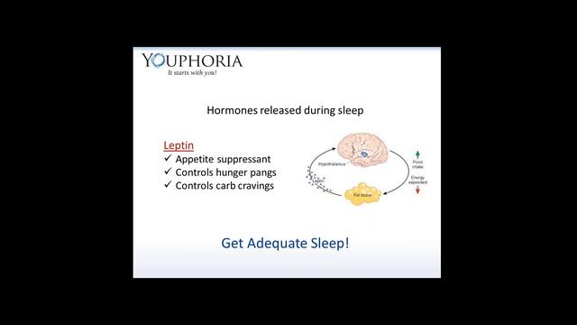 Youphoria Signature Program - Session 9: Stress, Hormones, and Supplements to Boost Weight Loss смотреть онлайн