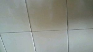 Присоска плюс скотч Sucker plus Scotch tape