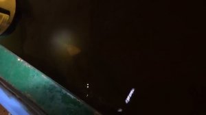 небольшой обзор узв для форели и осетров