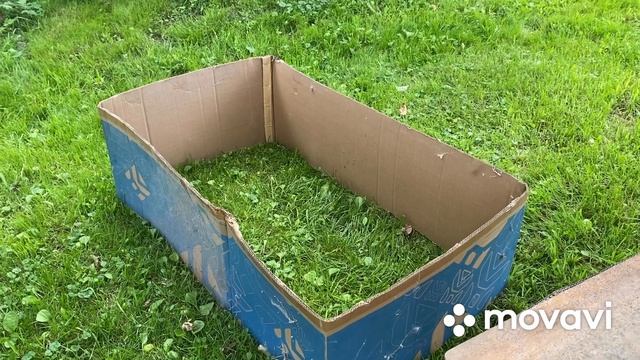Вырастим крупного Гуся/Лучшее содержание для гусят на хорошем старте