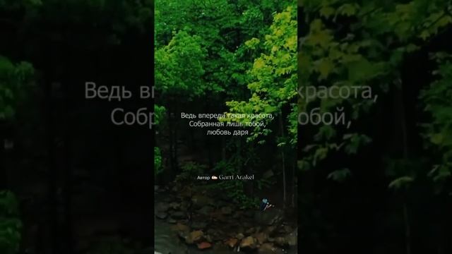 «Пол века жизни - лишь глоток испитого вина…» #поэзия #стихи #творчество #поэт #Стихи_Орла смотреть онлайн