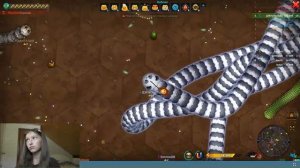 Little BIG Snake.io Литл БИГ Снейк Прохождение ДЗЕН Марина 1515. 3 сессия.