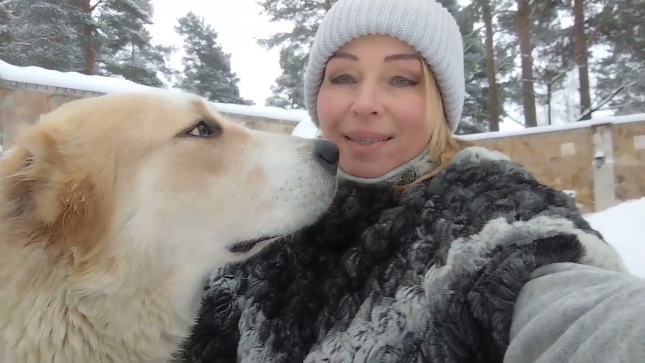 Ошибки в воспитании САО. Выпуск2., ,Раззлабливание собак,, смотреть онлайн