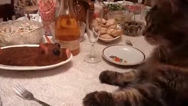 Кот и свинья... смотреть онлайн