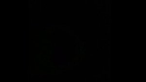 Реакция дикого кабана на зеленый фонарь.