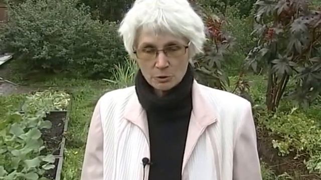 Высокие гряды-короба. Урожай картофеля поражает! смотреть онлайн