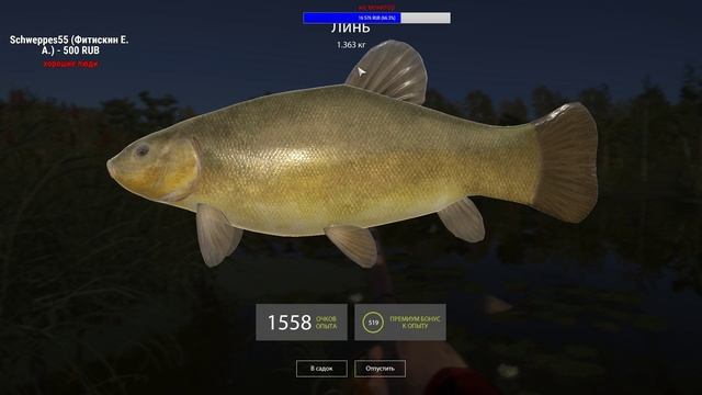 Русская Рыбалка 4 - Ловим линя. Рыболовный турнир "Мешок мышц" смотреть онлайн