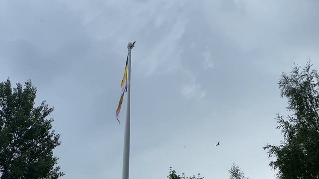 Парк 300-летия Санкт-Петербурга 2023г., подготовка к VkFest. Обзорная экскурсия