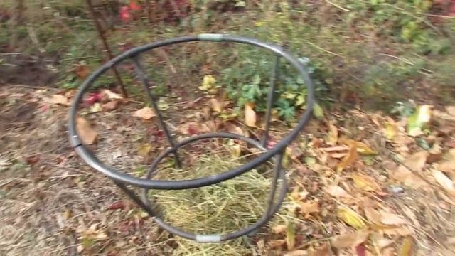 Октябрь 2020. Видео-дополнение к мульчированию пеньков красной смородины после омолаживающей обрезк смотреть онлайн