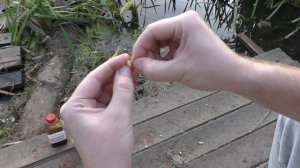 От неё дуреет вся рыба! Супер рыболовная насадка для карася и карпа и всю другую рыбу круглый год!