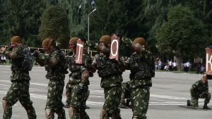 Показуха на День ВДВ Львів