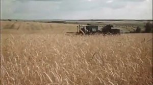 Радзiма мая дарагая.