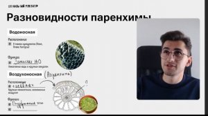 Пестик. Ткани растений | Биология ОГЭ – Федор Агеев