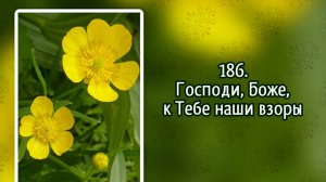 Гимны надежды 186 Господи, Боже, к Тебе наши взоры (-)