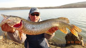 ДИКИЙ ЖОР.ЛОВЛЯ ЩУКИ В МАРТЕ НА ДОНКИ.2024.