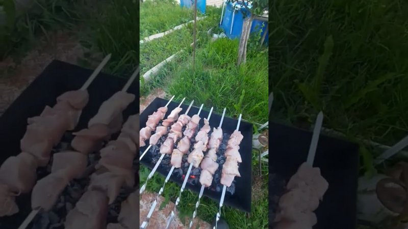 Кто куда, а мы на шашлыки!